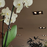 Photo n°5 de l'avis de Davide.e fait le 23/06/2022 à 12:39 sur le  Al Brigantino Ristorante e Pizzeria à Jesolo