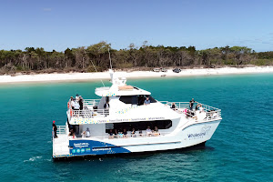 Whalesong Cruises Hervey Bay image