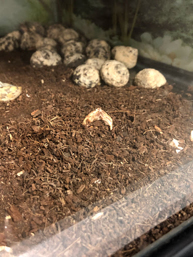 Pet Supply Store «Petsense Fort Worth», reviews and photos, 1408 Eastchase Pkwy #100, Fort Worth, TX 76120, USA