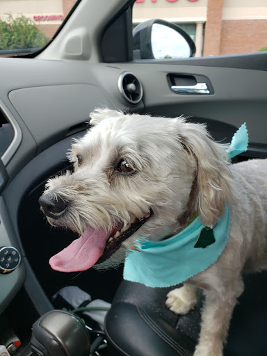 Pet Supply Store «Petco Animal Supplies», reviews and photos, 308 E Meighan Blvd, Gadsden, AL 35903, USA