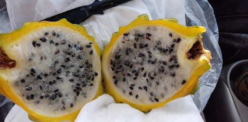 Discount Store «99 Cents Only Stores», reviews and photos, 4665 Clayton Rd, Concord, CA 94521, USA