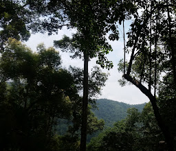 Dragon Flight Zipline Chiang Mai photo