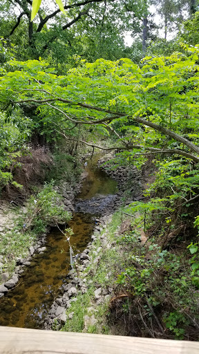 Non-Profit Organization «Houston Audubon Society», reviews and photos, 440 Wilchester Blvd, Houston, TX 77079, USA