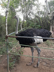 Zoológico La Isla del Tapir