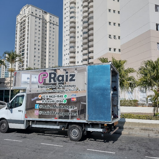 Logo da empresa - Raiz Transportes e Mudanças