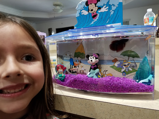 Pet Supply Store «Petco Animal Supplies», reviews and photos, 1808 Tamiami Trail a, Port Charlotte, FL 33948, USA