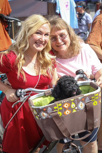 Bicycle Store «South Shore Cyclery», reviews and photos, 4758 S Packard Ave, Cudahy, WI 53110, USA