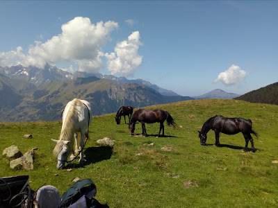 Guzet Cheval à Ustou