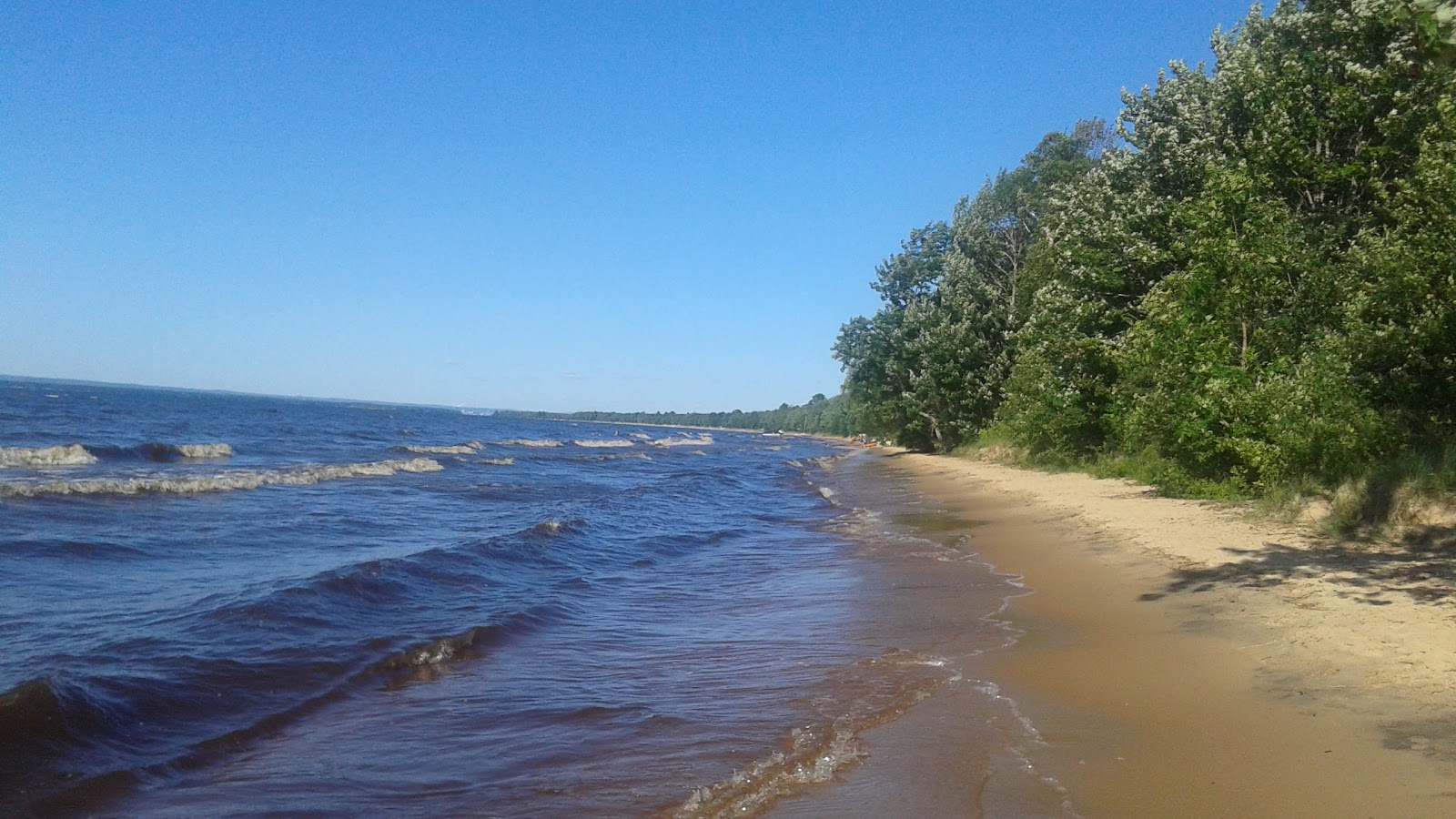 Photo de Brimley Beach avec un rivage spacieux