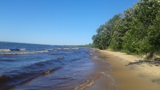 Brimley Beach