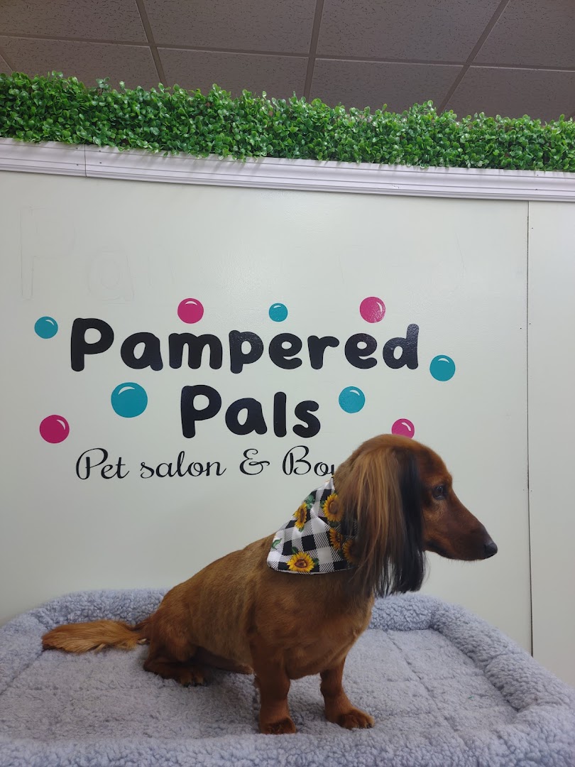 Pampered Pals Pet salon and Boutique