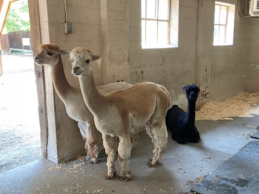 Zoo «The Maryland Zoo in Baltimore», reviews and photos, 1 Safari Place, Baltimore, MD 21217, USA