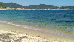 Platania beach'in fotoğrafı doğal alan içinde bulunmaktadır