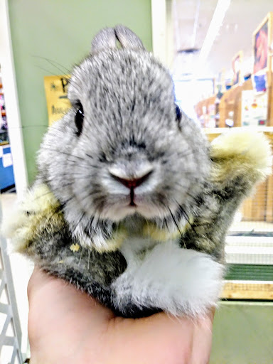 Pet Supply Store «CountryMax - Geneseo», reviews and photos, 4101 Lakeville Rd, Geneseo, NY 14454, USA