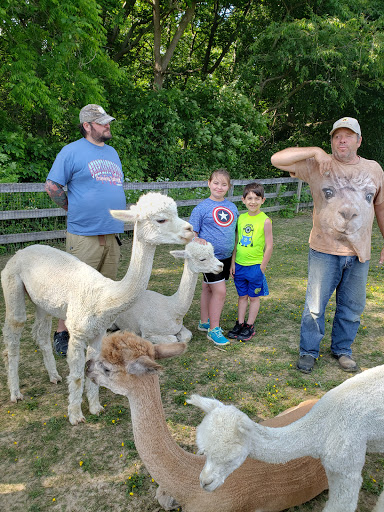 Farm «Painted Sky Alpaca Farm & Fiber Mill», reviews and photos, 95 Knight House Ln, Earleville, MD 21919, USA