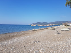 Paralia Potokaki'in fotoğrafı çok temiz temizlik seviyesi ile