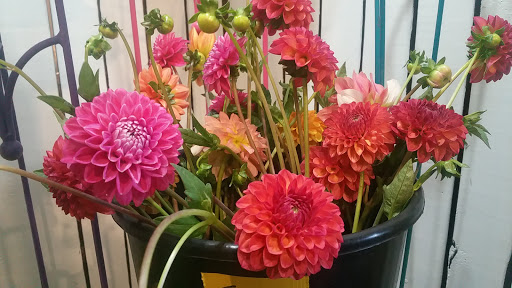 Florist «Post Road English Garden», reviews and photos, 1105 N Post Rd, Indianapolis, IN 46219, USA