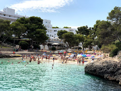 Photo de Cala D'Or avec petite baie