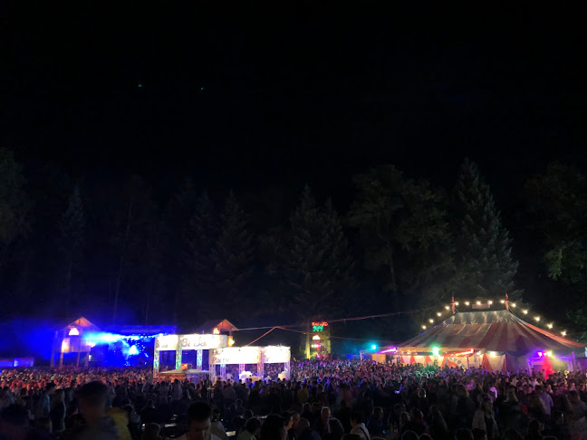 Opinii despre Houzschnitzu-Partygelände în Oftringen - Nachtclub