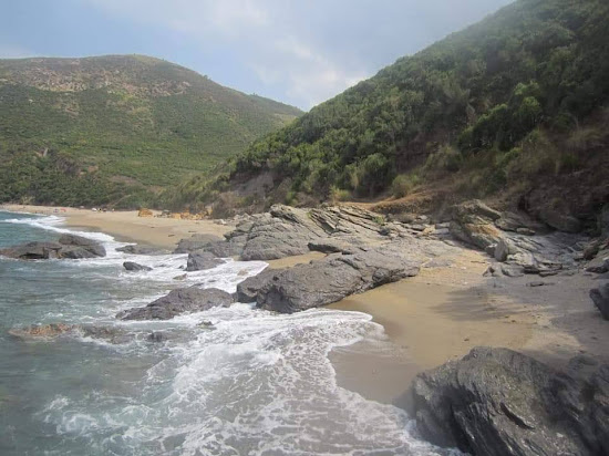 Romain Palace Beach