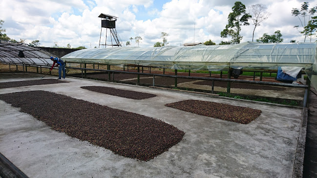 Comentarios y opiniones de Asociación De Productores De Cacao San Carlos