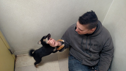 Pet Supply Store «Petland», reviews and photos, 6126 Northwest Hwy, Crystal Lake, IL 60014, USA