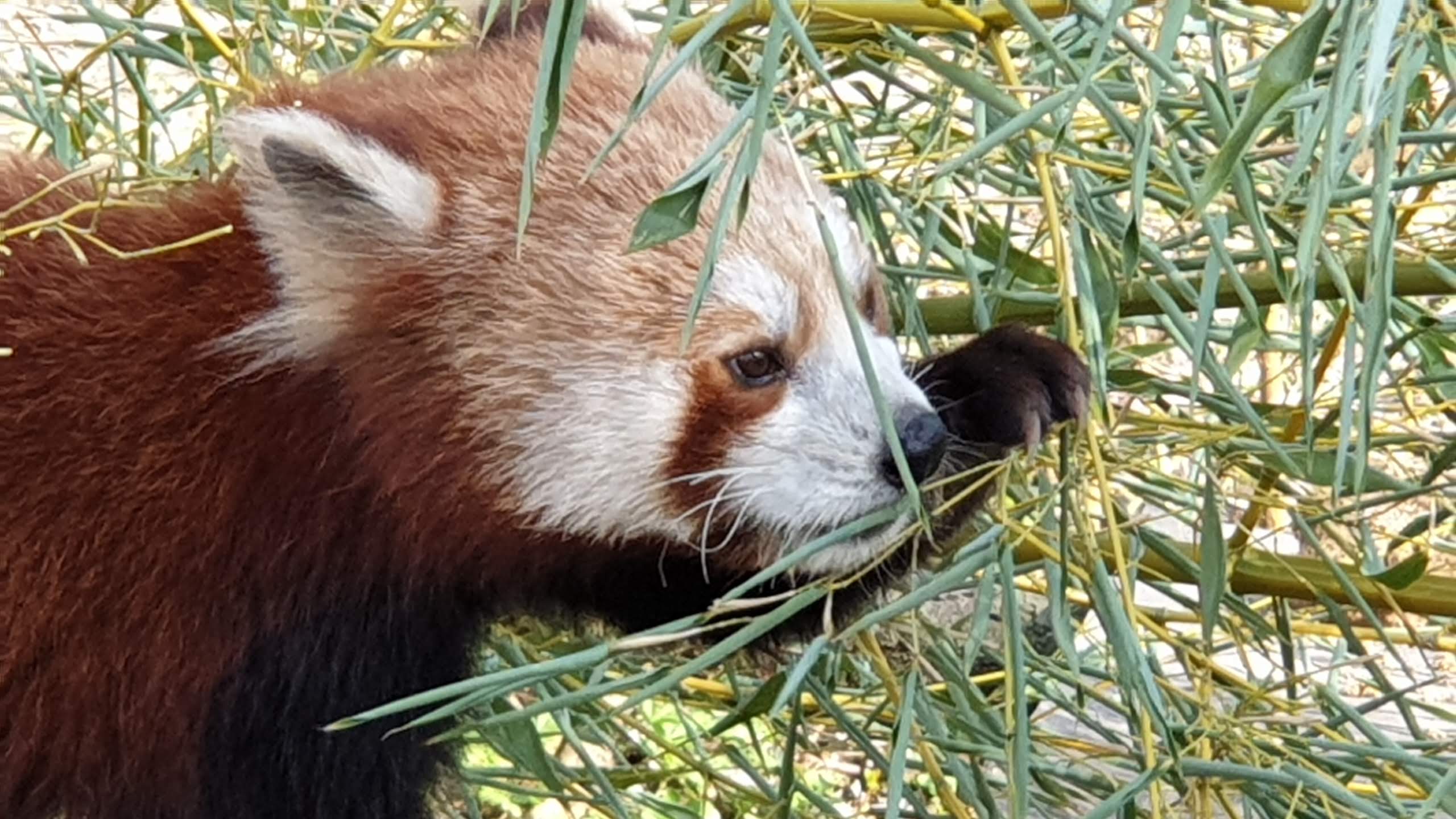 Photo n° 7 de l'avis de Simon.a fait le 05/04/2019 à 11:35