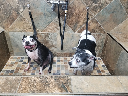 Pet Supply Store «Pet Valu», reviews and photos, 1305 West Seventh Street #28, Frederick, MD 21702, USA