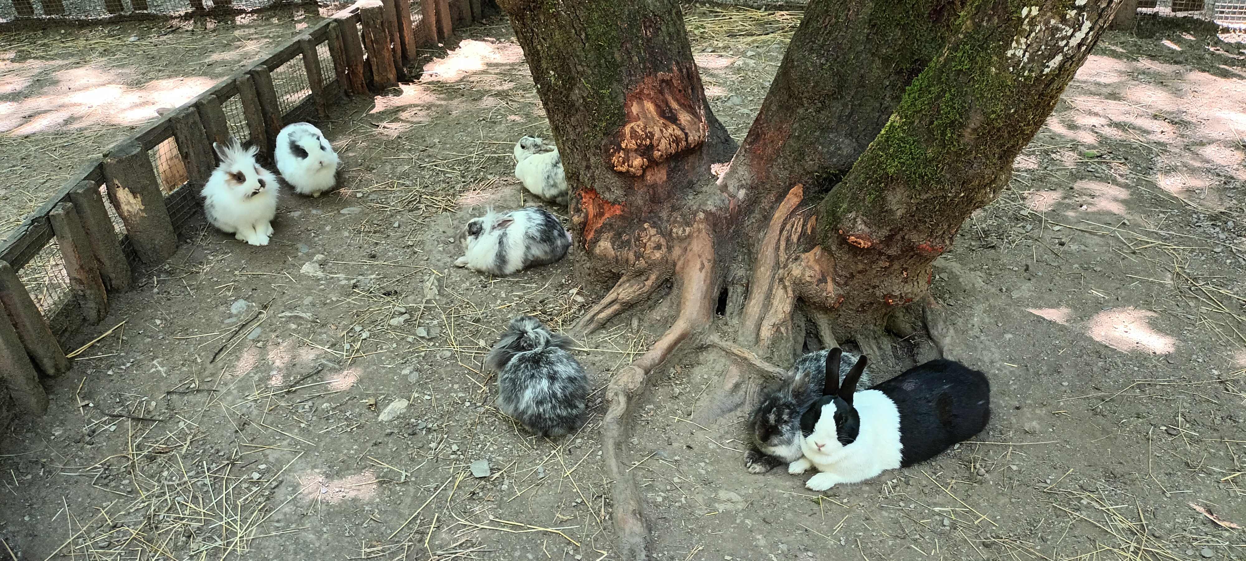 Photo n° 5 de l'avis de Thierry.R fait le 12/07/2022 à 05:49