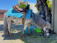 Fun Factory - Photo 4 - Car repair in Santa Cruz, CA, Santa Cruz