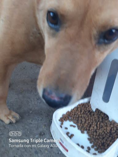 Toy Store «Disney Store», reviews and photos, 1540 Broadway, New York, NY 10036, USA