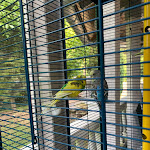 Photo n°11 de l'avis de Flipper. fait le 01/07/2023 à 20:07 sur le  Restaurant Pizzeria Il mulino à Fell