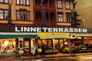 Linnéterrassen image