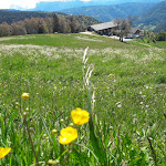 Photo n°6 de l'avis de Luca.u fait le 30/05/2021 à 13:06 sur le  Leitlkeller à Jenesien