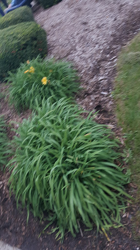 Park «St Clair Shores Park», reviews and photos, 20000 Stephens, St Clair Shores, MI 48080, USA