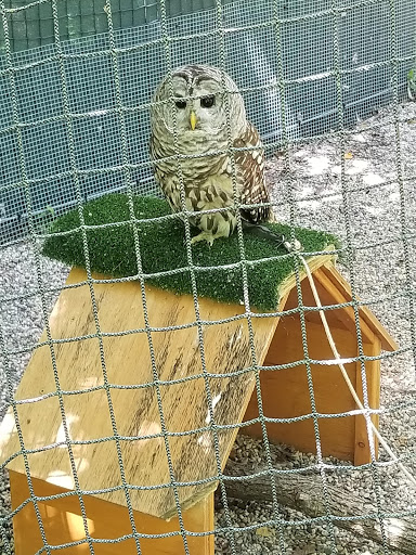 Nature Preserve «Westwood Hills Nature Center», reviews and photos, 8300 W Franklin Ave, St Louis Park, MN 55426, USA