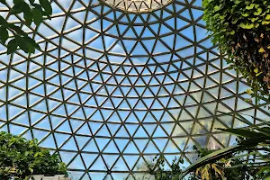 Tropical Display Dome image
