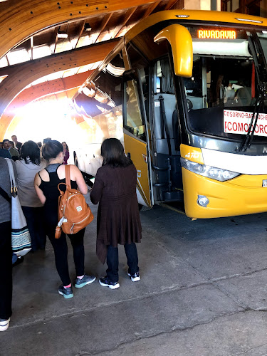 Transportes Transaustral Bus - Puerto Montt