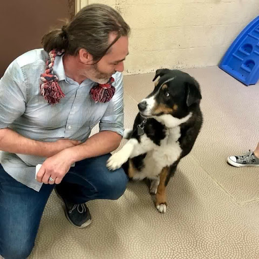 Pet Supply Store «Bark Avenue Pet Supply», reviews and photos, 3109 E McKellips Rd, Mesa, AZ 85213, USA