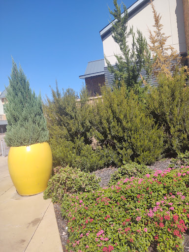 Book Store «Barnes & Noble», reviews and photos, 4100 Deer Creek #100, Highland Village, TX 75077, USA