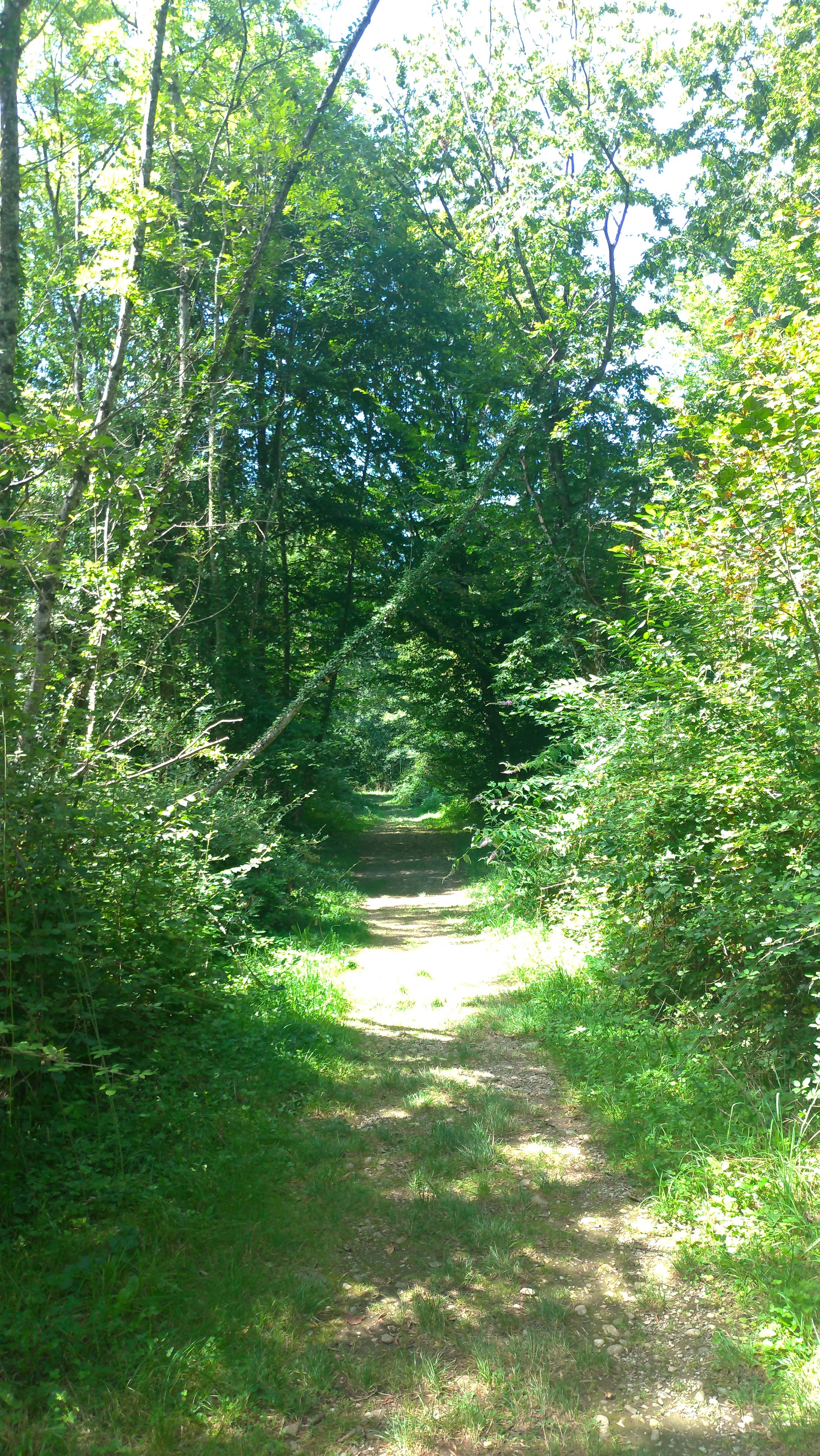 Photo n° 7 de l'avis de Bruno.e fait le 10/08/2021 à 15:08