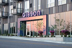 Gibson image