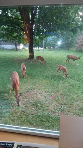 Club «Norwood Pines Supper Club», reviews and photos, 10171 WI-70, Minocqua, WI 54548, USA