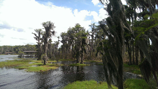 Golf Course «Golden Bear Club», reviews and photos, 6300 Jack Nicklaus Pkwy, Windermere, FL 34786, USA