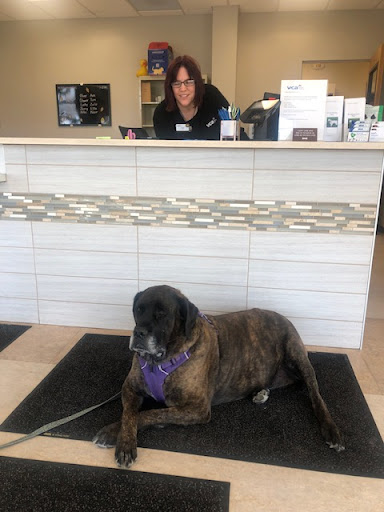 VCA West 86th St. Animal Hospital image