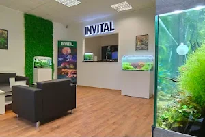 INVITAL Rostlinna-akvaria.cz | Obchod s akvaristikou image