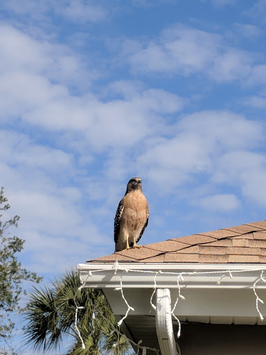 Golf Club «Scepter Golf Club reservations», reviews and photos, 1226 Newpoint Loop, Sun City Center, FL 33573, USA