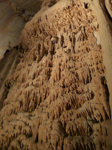 Tourist Attraction «Bristol Caverns», reviews and photos, 1157 Bristol Caverns Hwy, Bristol, TN 37620, USA