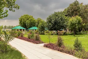 ZANA Forest Resort, Ranthambore image