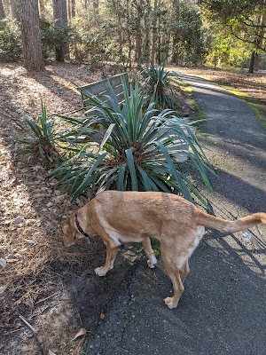 South Arkansas Arboretum - photo 24